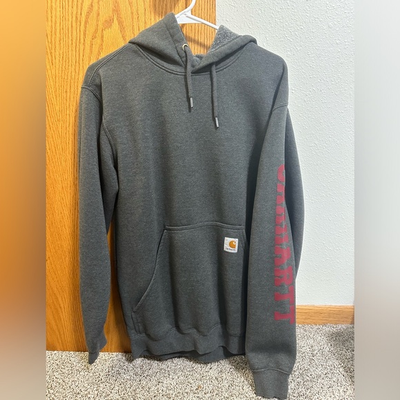 NWOT Carhartt Hoodie - Picture 1 of 3